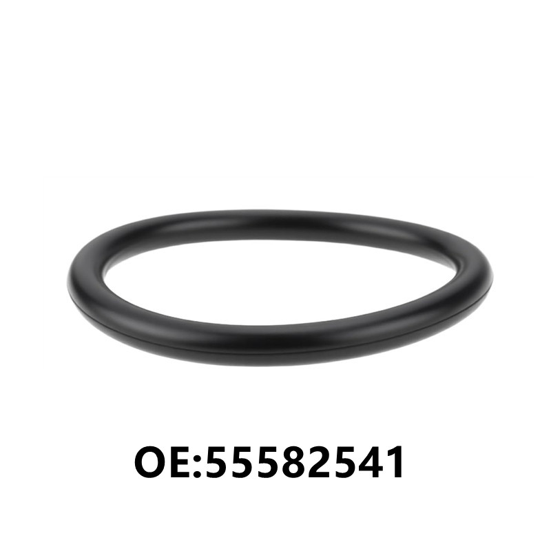1pc 55582541 Anello di tenuta  - Tank O-Ring Seal recensione e prezzo
